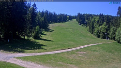 Slalomka