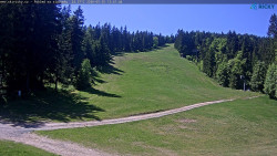 Slalomka