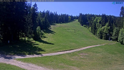 Slalomka