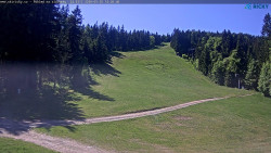 Slalomka