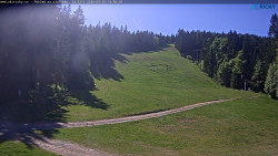 Slalomka