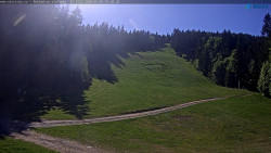 Slalomka