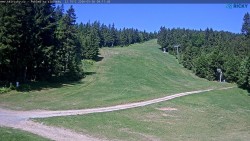 Slalomka