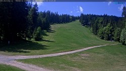 Slalomka
