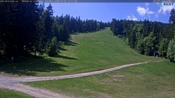 Slalomka