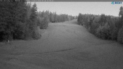 Slalomka