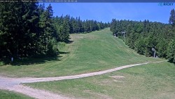 Slalomka