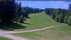 Slalomka