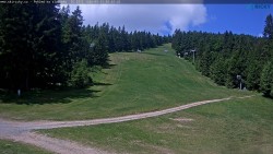 Slalomka