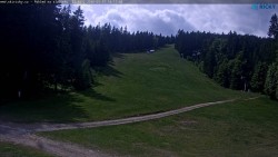 Slalomka