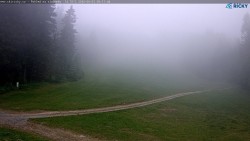 Slalomka