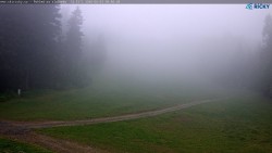 Slalomka