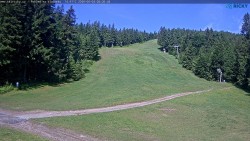 Slalomka