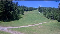 Slalomka
