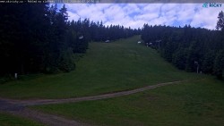 Slalomka