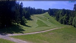 Slalomka