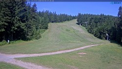 Slalomka