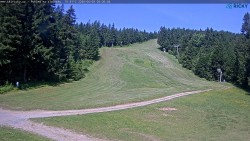 Slalomka