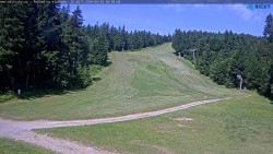 Slalomka