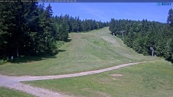Slalomka