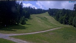 Slalomski