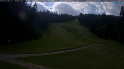 Slalomka