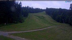 Slalomski