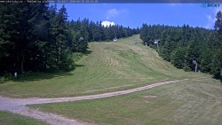 Slalomka