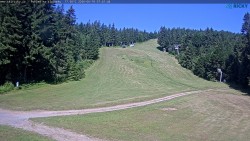 Slalomka