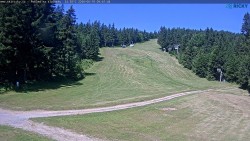 Slalomka