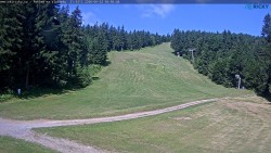 Slalomka