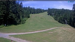 Slalomka