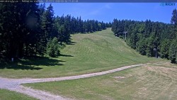 Slalomka
