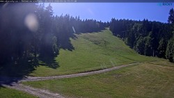 Slalomka