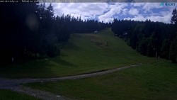 Slalomka