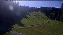 Slalomka