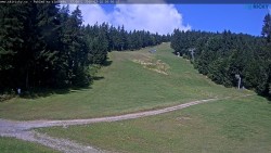 Slalomka