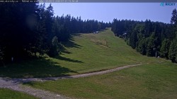 Slalomka