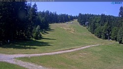 Slalomka