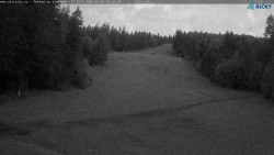Slalomka