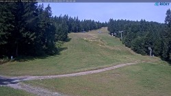 Slalomka