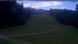 Slalomka