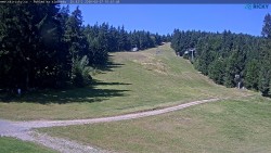 Slalomka