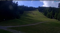 Slalomka