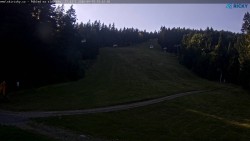 Slalomski