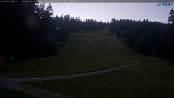 Slalomski