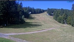 Slalomka