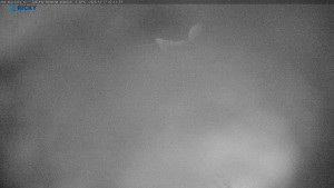 Skicentrum Říčky - Výstupní stanice Zakletý - 17.12.2025 v 02:15 Skicentrum Říčky - Výstupní stanice Zakletý - 17.12.2025 v 02:15