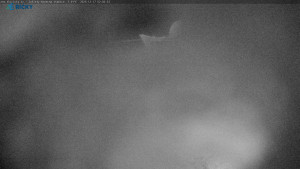 Skicentrum Říčky - Výstupní stanice Zakletý - 17.12.2025 v 03:00 Skicentrum Říčky - Výstupní stanice Zakletý - 17.12.2025 v 03:00