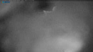 Skicentrum Říčky - Výstupní stanice Zakletý - 17.12.2025 v 03:15 Skicentrum Říčky - Výstupní stanice Zakletý - 17.12.2025 v 03:15